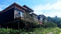 木屋设计建造经销商：打造高品质自然居住空间的核心力量