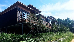 木屋设计建造维保服务全解析：打造可持续高品质生态建筑的一站式解决方案